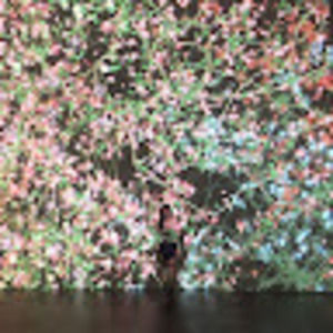 Meet your Posher, Mei